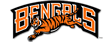 Cincinnati Bengals